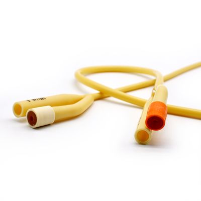 CRANBERRY SONDA FOLEY 14 FR